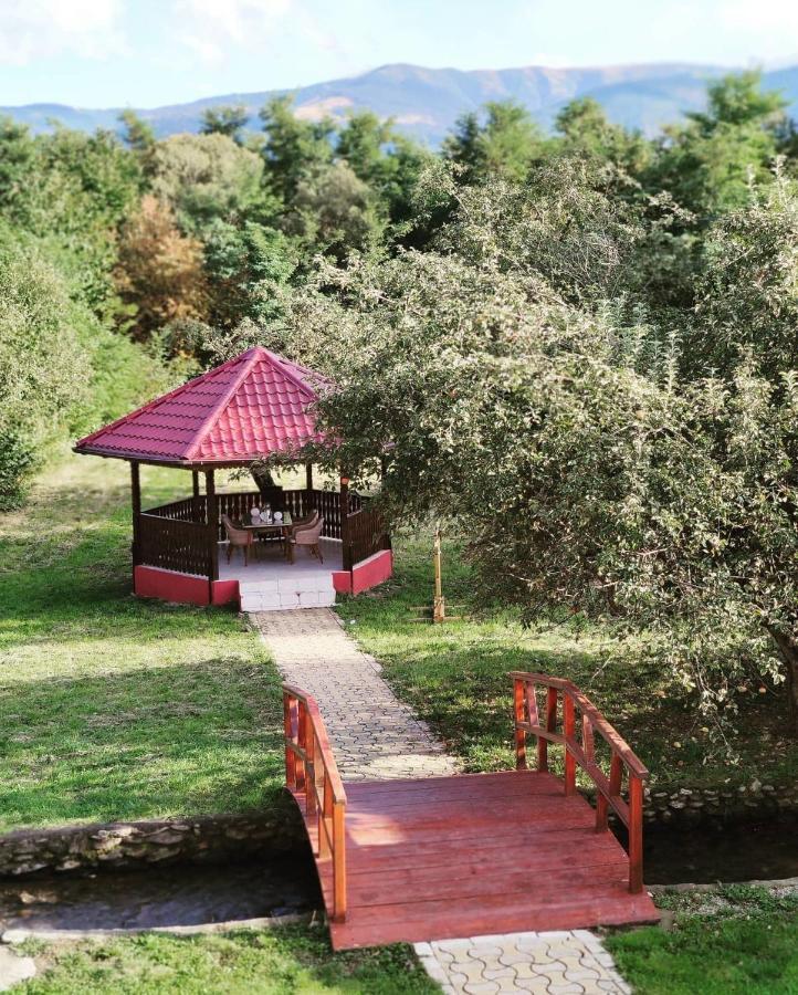 Horace Guesthouse Pool & Hot Tub & Bikes & River Dejani Exterior foto