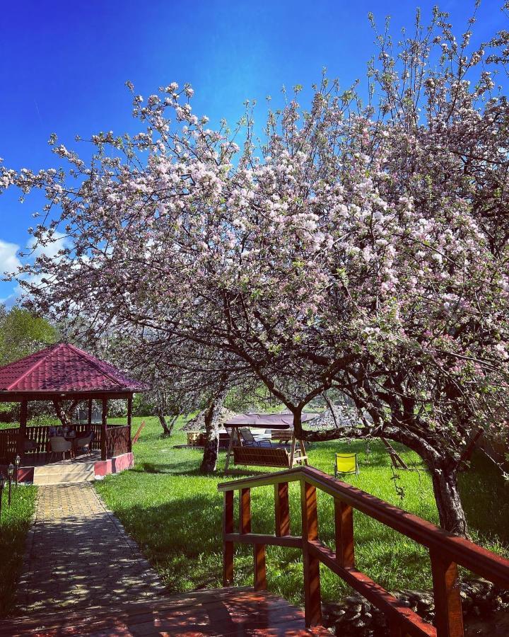 Horace Guesthouse Pool & Hot Tub & Bikes & River Dejani Exterior foto